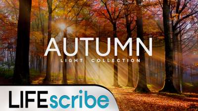 Autumn Light Collection