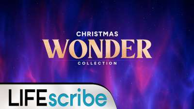 Christmas Wonder Collection