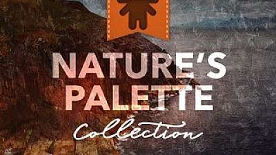 Natures Palette Collection