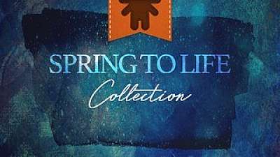 Spring To Life Collection