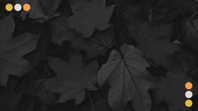 Autumn Tones 03