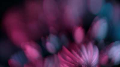 Christmas Ornamental 1