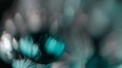 Christmas Ornamental 12