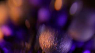 Christmas Ornamental 7