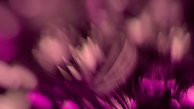 Christmas Ornamental 8