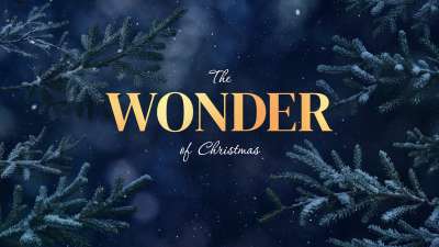 Christmas Wintertide Wonder