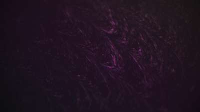 Dark Distortion 1 Color