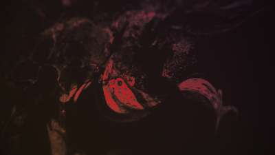 Dark Distortion 3 Color