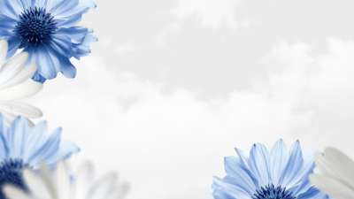Mother's Day Flowers 02
