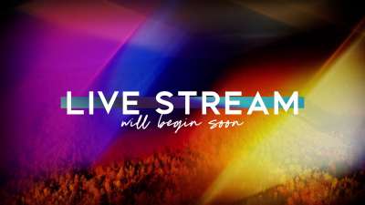 Subtle Fall Live Stream