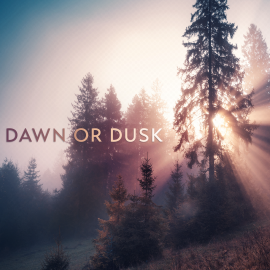 Dawn or Dusk