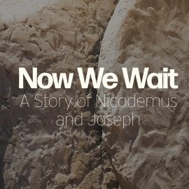 Now We Wait: A Story of Nicodemus and Joseph