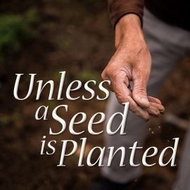 Unless A Seed Is Planted