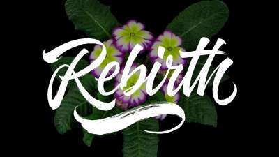 Rebirth