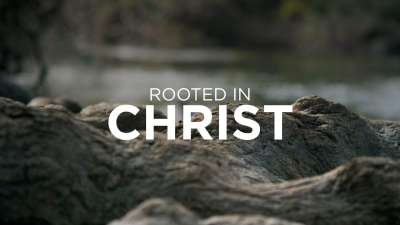 Rooted in Christ