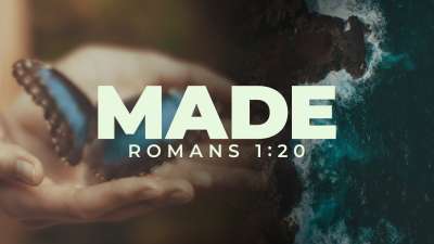Made (Romans 1:20)