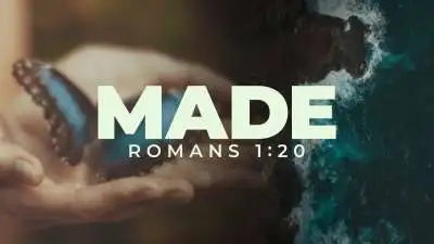 Made (Romans 1:20)