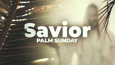 Savior Palm Sunday